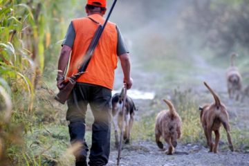 Chasse - Chasseur (1)